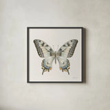 Beetles and Butterflies I Neutral by Danhui Nai. Shown in a sleek black glass frame for a contemporary gallery look. Available as an archival giclee rolled canvas, fine art paper, or poster print. SKU 93367a.