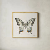 Beetles and Butterflies I Neutral by Danhui Nai. Shown in a natural wood glass frame for a timeless modern aesthetic. Available as an archival giclee rolled canvas, fine art paper, or poster print. SKU 93367a.
