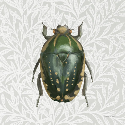Beetles and Butterflies II by Danhui Nai. SKU 86645a. Archival Giclee Fine art print for wall decor.