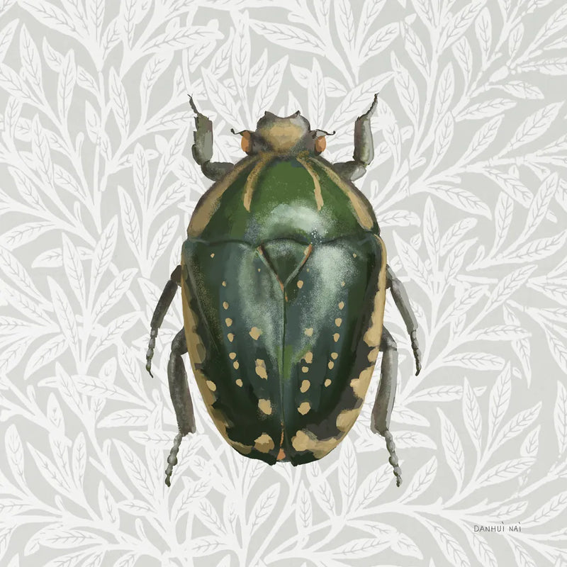 Beetles and Butterflies II by Danhui Nai. SKU 86645a. Archival Giclee Fine art print for wall decor.