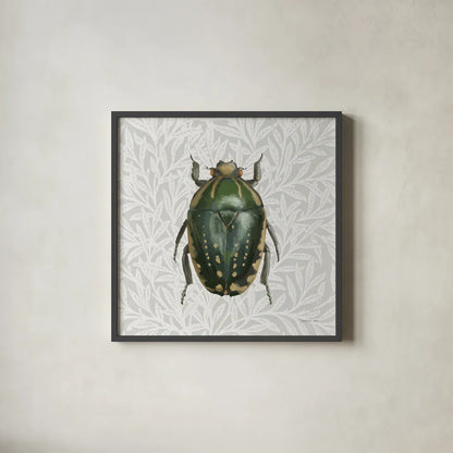 Beetles and Butterflies II by Danhui Nai. Shown in a sleek black glass frame for a contemporary gallery look. Available as an archival giclee rolled canvas, fine art paper, or poster print. SKU 86645a.