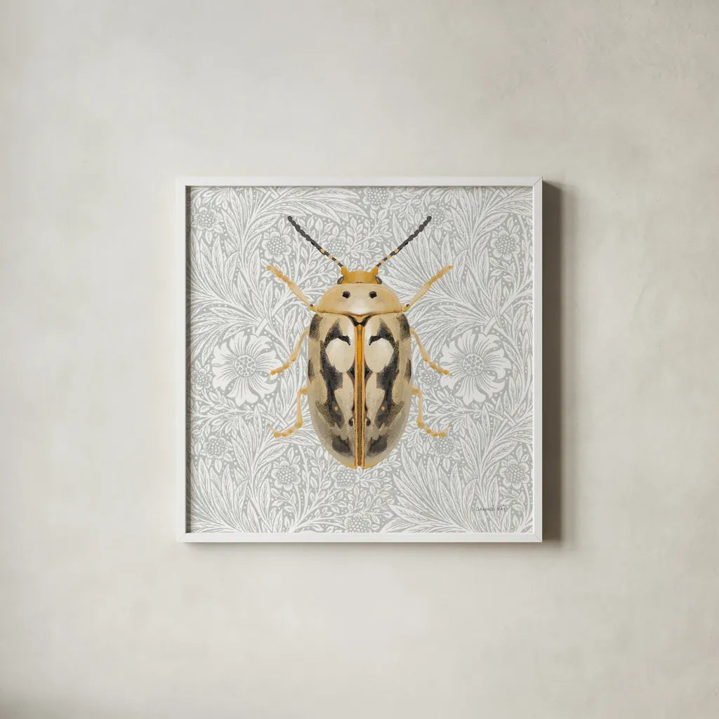 Beetles and Butterflies III by Danhui Nai. Shown in a crisp white glass frame for a clean and minimalist style. Available as an archival giclee rolled canvas, fine art paper, or poster print. SKU 86646a.
