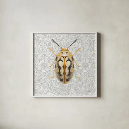 Beetles and Butterflies III by Danhui Nai. Shown in a crisp white glass frame for a clean and minimalist style. Available as an archival giclee rolled canvas, fine art paper, or poster print. SKU 86646a.