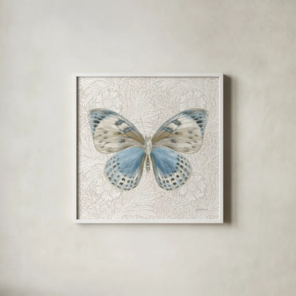 Beetles and Butterflies IV by Danhui Nai. Shown in a crisp white glass frame for a clean and minimalist style. Available as an archival giclee rolled canvas, fine art paper, or poster print. SKU 86647a.