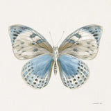 Beetles and Butterflies IV Neutral by Danhui Nai. SKU 93368a. Archival Giclee Fine art print for wall decor.