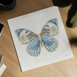 Beetles and Butterflies IV Neutral by Danhui Nai. Shown as a detailed flat fine art print, highlighting archival giclee quality. Available as an archival giclee rolled canvas, fine art paper, or poster print. SKU 93368a.