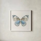 Beetles and Butterflies IV Neutral by Danhui Nai. Shown in a crisp white glass frame for a clean and minimalist style. Available as an archival giclee rolled canvas, fine art paper, or poster print. SKU 93368a.