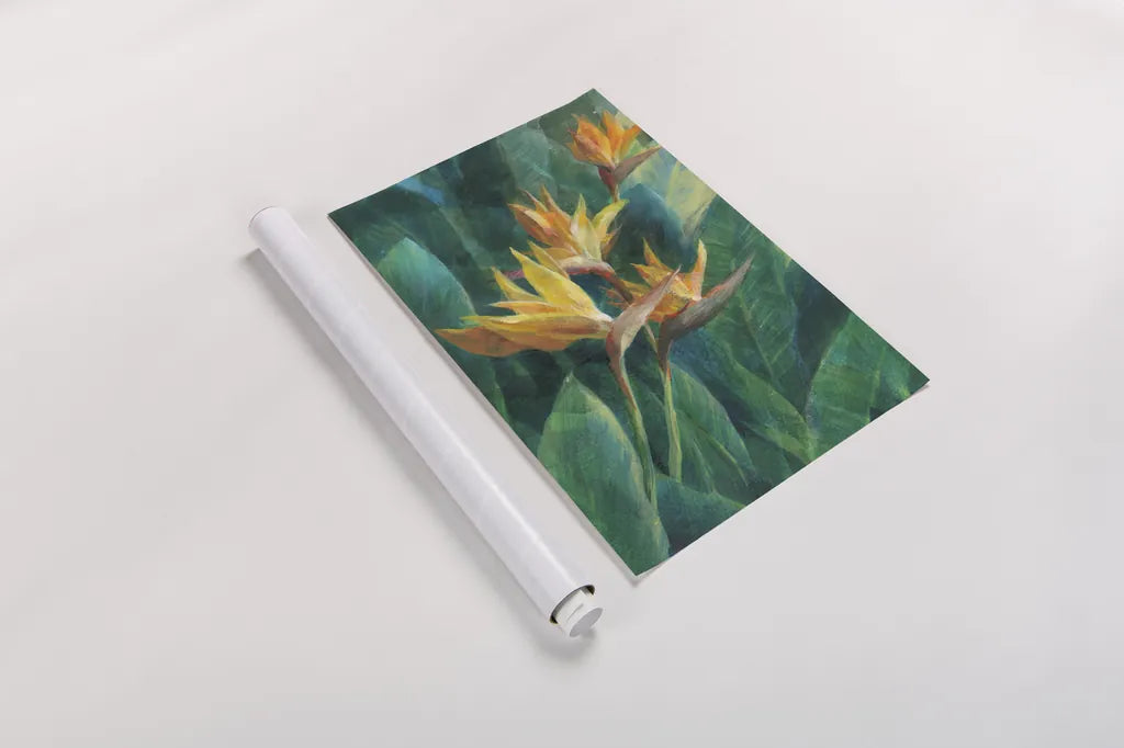Bird of Paradise I Crop by Danhui Nai. shown as a rolled paper print. Available as archival giclee rolled canvas, fine art paper, or poster print. SKU 54061h.