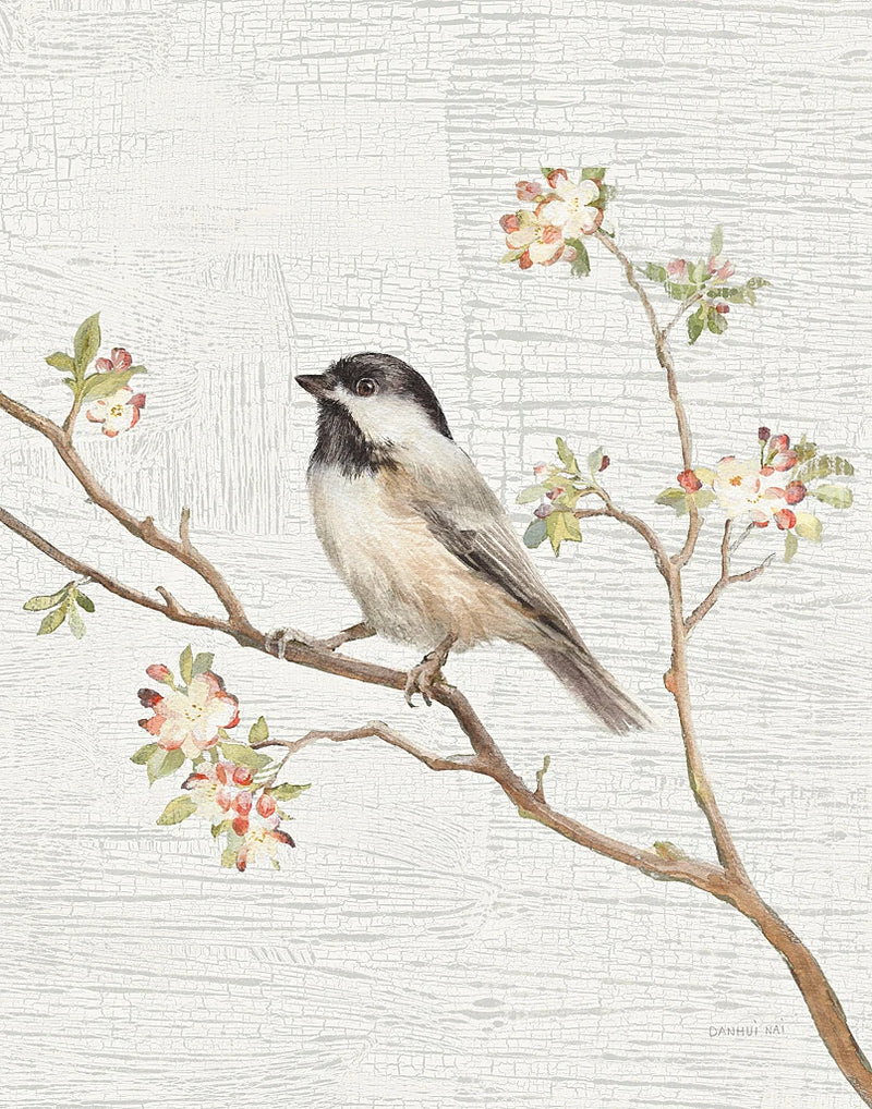 Black Capped Chickadee Vintage v2 by Danhui Nai