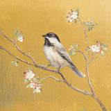 Black Capped Chickadee on Gold by Danhui Nai. SKU 24626a. Archival Giclee Fine art print for wall decor.