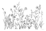 Black and White Garden by Danhui Nai. SKU 76349i. Archival Giclee Fine art print for wall decor.