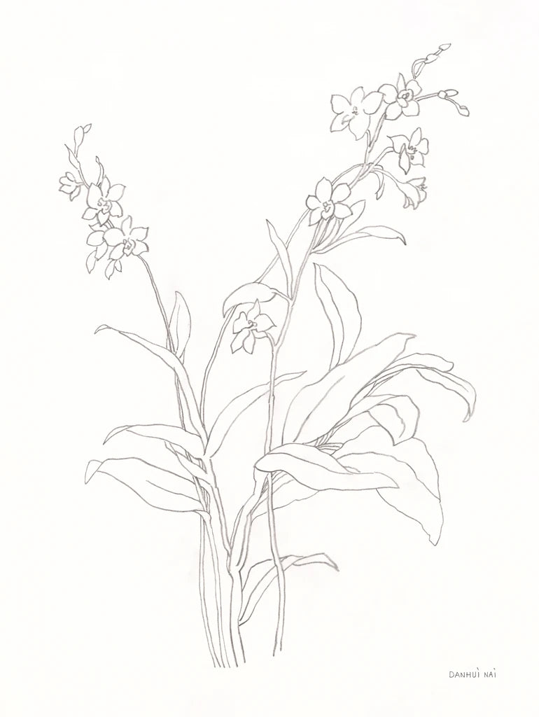Blossom Sketch by Danhui Nai