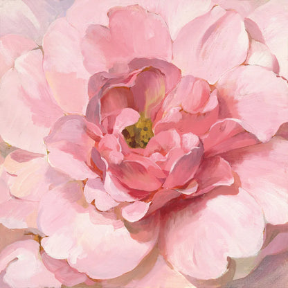 Blushing Peony by Danhui Nai. SKU 50143a. Archival Giclee Fine art print for wall decor.