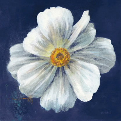 Boldest Bloom I Dark Blue by Danhui Nai. SKU 66621a. Archival Giclee Fine art print for wall decor.