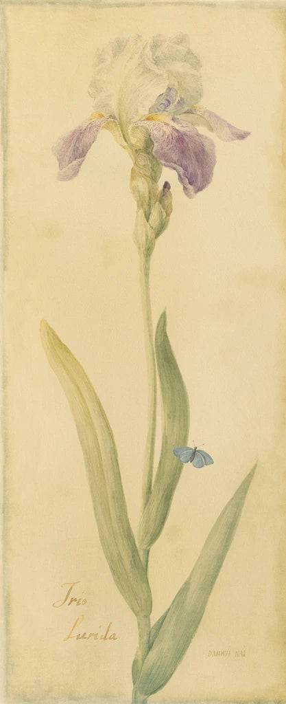 Botanical Iris by Danhui Nai