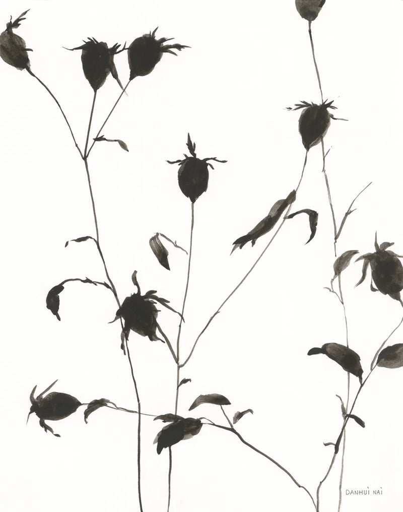 Botanical Shadows II by Danhui Nai