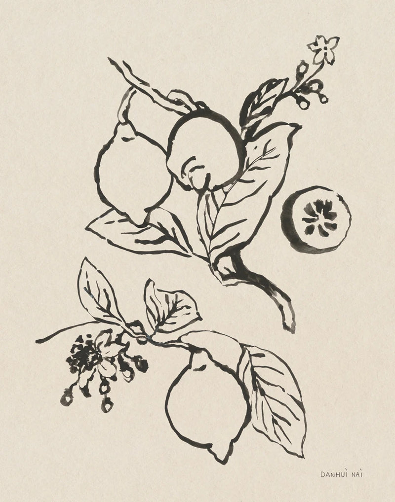 Citrus Summer I by Danhui Nai