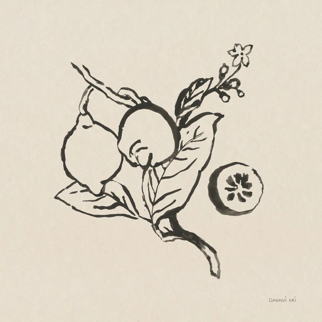 Citrus Summer II by Danhui Nai. SKU 85205a. Archival Giclee Fine art print for wall decor.