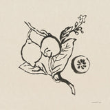 Citrus Summer II by Danhui Nai. SKU 85205a. Archival Giclee Fine art print for wall decor.