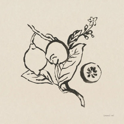 Citrus Summer II by Danhui Nai. SKU 85205a. Archival Giclee Fine art print for wall decor.