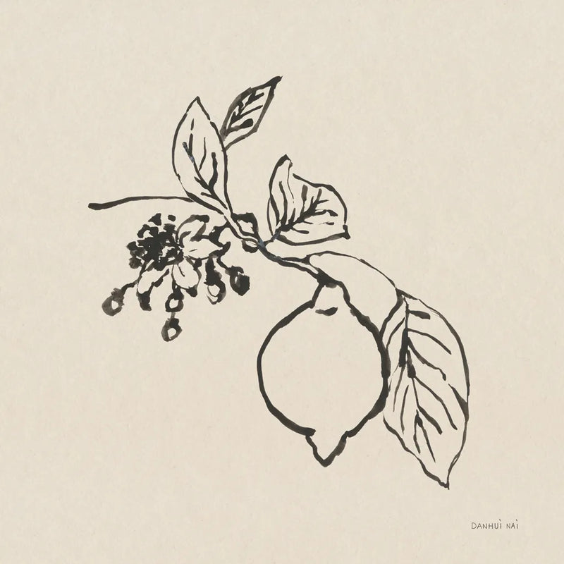 Citrus Summer III by Danhui Nai. SKU 85708a. Archival Giclee Fine art print for wall decor.
