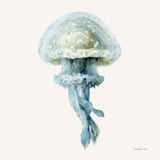Coastal Bliss II by Danhui Nai. SKU 91271a. Archival Giclee Fine art print for wall decor.