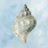 Coastal Bliss IV v2 by Danhui Nai. SKU 97039a. Archival Giclee Fine art print for wall decor.