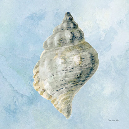 Coastal Bliss IV v2 by Danhui Nai. SKU 97039a. Archival Giclee Fine art print for wall decor.