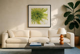 Contemporary Chrysanthemum by Danhui Nai. Displayed in a glass frame with matte in a clean modern living room. Available as an archival giclee rolled canvas, fine art paper, or poster print. SKU 5452a.