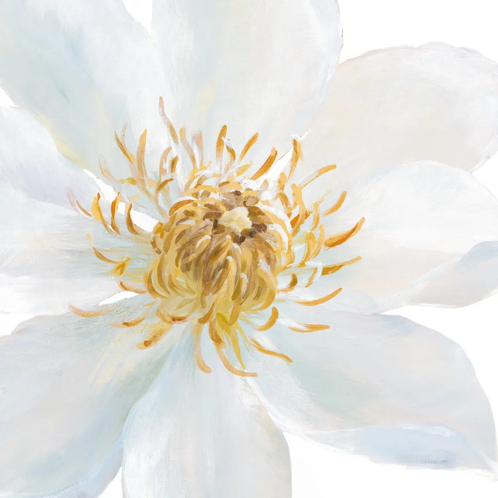 Contemporary Clematis Gray by Danhui Nai. SKU 44828a. Archival Giclee Fine art print for wall decor.