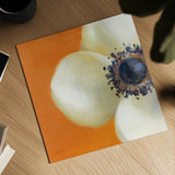 Contemporary Poppy by Danhui Nai. Shown as a detailed flat fine art print, highlighting archival giclee quality. Available as an archival giclee rolled canvas, fine art paper, or poster print. SKU 5455a.