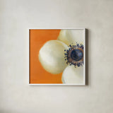Contemporary Poppy by Danhui Nai. Shown in a crisp white glass frame for a clean and minimalist style. Available as an archival giclee rolled canvas, fine art paper, or poster print. SKU 5455a.