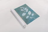 Cool Leaves II by Danhui Nai. shown as a rolled paper print. Available as archival giclee rolled canvas, fine art paper, or poster print. SKU 64053h.