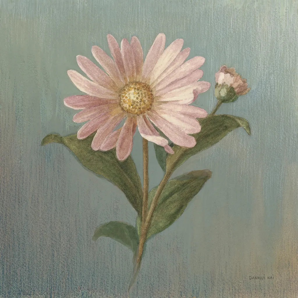 Cottage Aster by Danhui Nai. SKU 5172a. Archival Giclee Fine art print for wall decor.