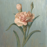 Cottage Carnation by Danhui Nai. SKU 5164a. Archival Giclee Fine art print for wall decor.