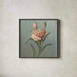 Cottage Carnation by Danhui Nai. Shown in a sleek black glass frame for a contemporary gallery look. Available as an archival giclee rolled canvas, fine art paper, or poster print. SKU 5164a.
