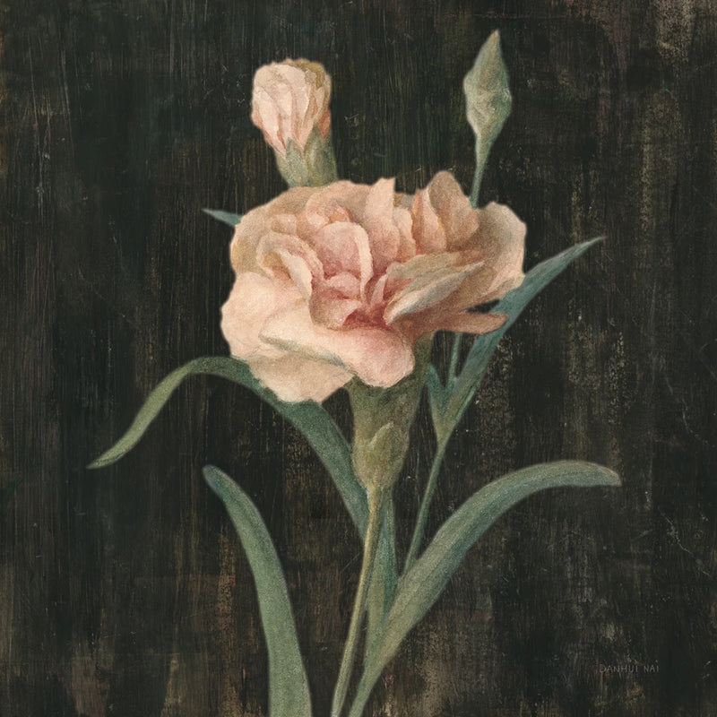 Cottage Carnation v2 by Danhui Nai