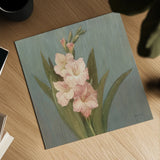 Cottage Gladiola by Danhui Nai. Shown as a detailed flat fine art print, highlighting archival giclee quality. Available as an archival giclee rolled canvas, fine art paper, or poster print. SKU 91990a.
