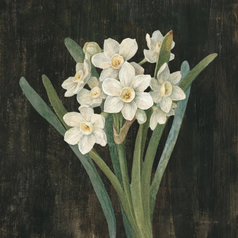 Cottage Narcissus v2 by Danhui Nai