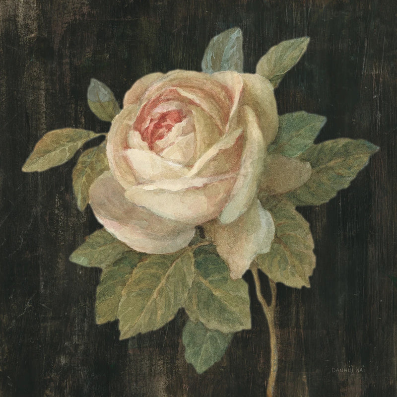 Cottage Rose v2 by Danhui Nai
