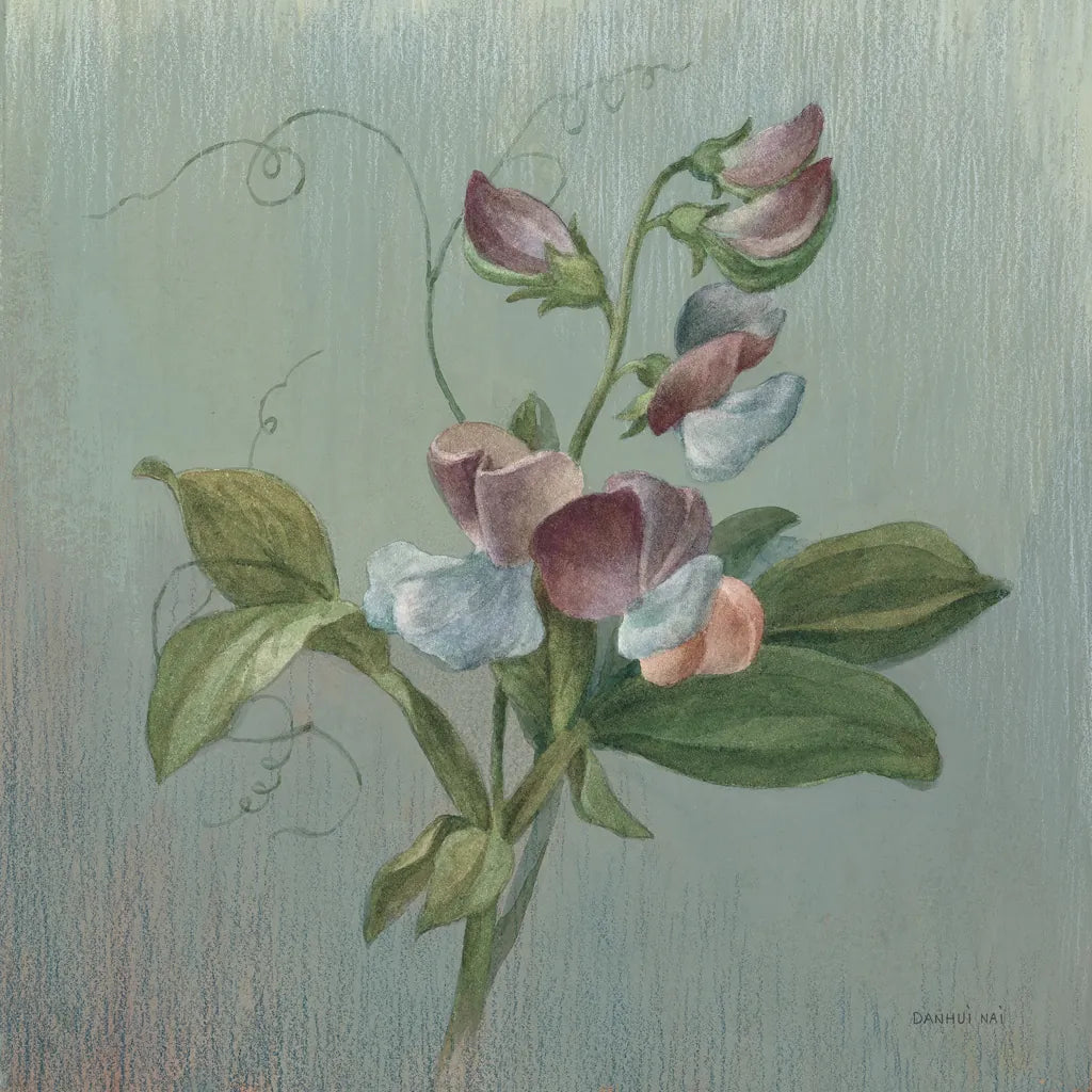 Cottage Sweet Pea by Danhui Nai. SKU 91989a. Archival Giclee Fine art print for wall decor.