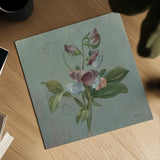 Cottage Sweet Pea by Danhui Nai. Shown as a detailed flat fine art print, highlighting archival giclee quality. Available as an archival giclee rolled canvas, fine art paper, or poster print. SKU 91989a.