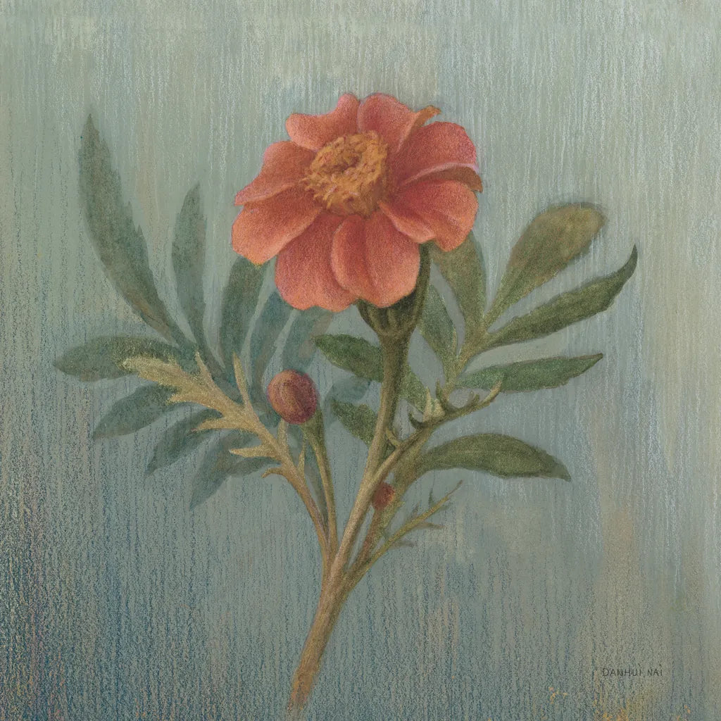 Cottage Zinnia by Danhui Nai. SKU 5173a. Archival Giclee Fine art print for wall decor.