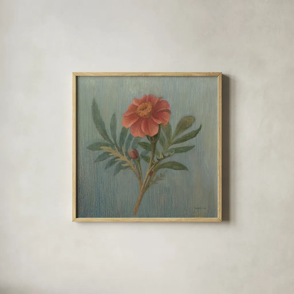 Cottage Zinnia by Danhui Nai. Shown in a natural wood glass frame for a timeless modern aesthetic. Available as an archival giclee rolled canvas, fine art paper, or poster print. SKU 5173a.