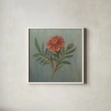 Cottage Zinnia by Danhui Nai. Shown in a crisp white glass frame for a clean and minimalist style. Available as an archival giclee rolled canvas, fine art paper, or poster print. SKU 5173a.