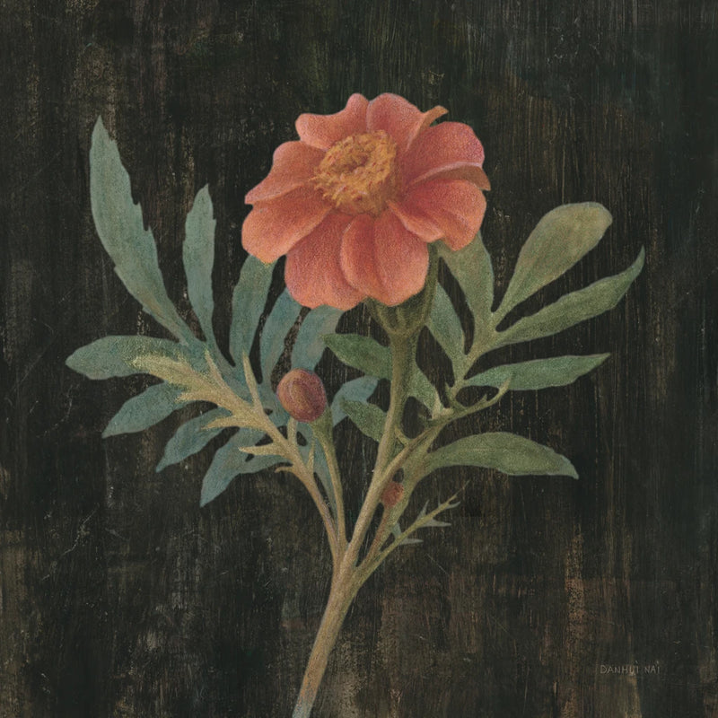 Cottage Zinnia v2 by Danhui Nai