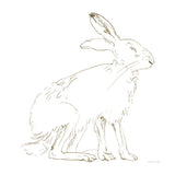 Country Hare by Danhui Nai. SKU 88572a. Archival Giclee Fine art print for wall decor.