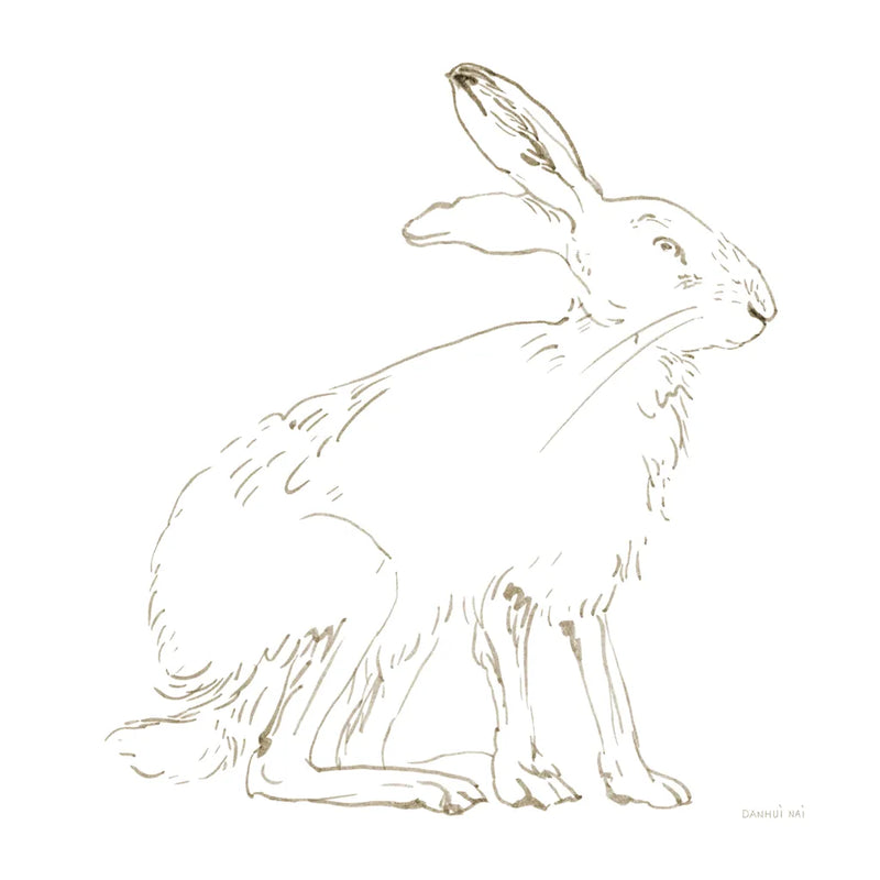 Country Hare by Danhui Nai. SKU 88572a. Archival Giclee Fine art print for wall decor.
