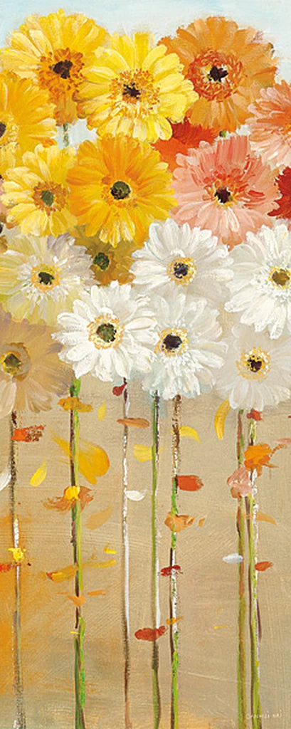 Daisies Fall I by Danhui Nai