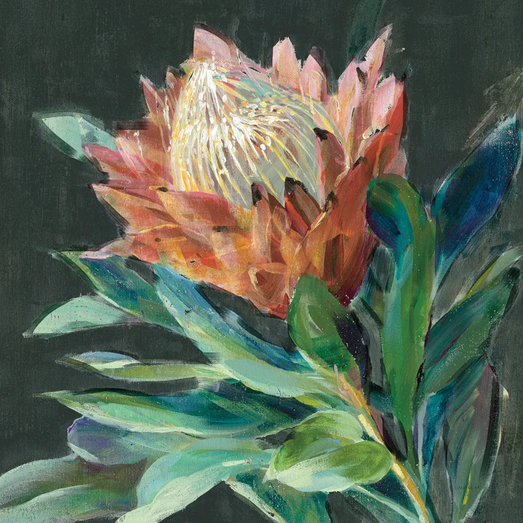 Deep Protea Crop by Danhui Nai. SKU 66891a. Archival Giclee Fine art print for wall decor.